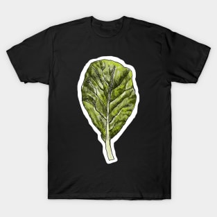 Collard T-Shirt